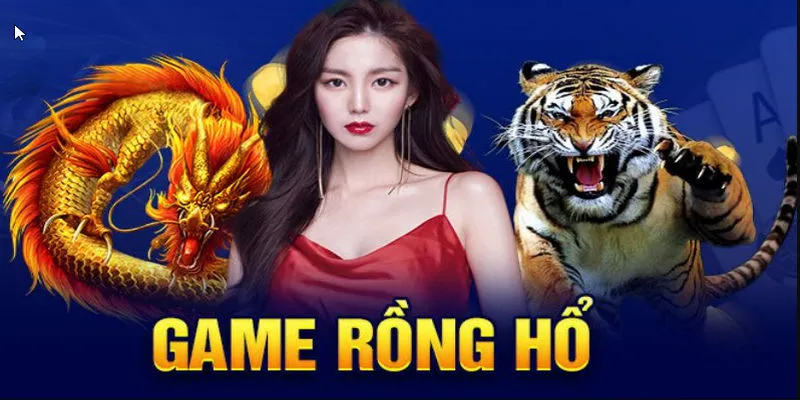 Rồng hổ Hit Club